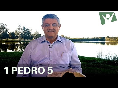 REAVIVADOS POR SUA PALAVRA | 09 de Setembro |  1 PEDRO 5