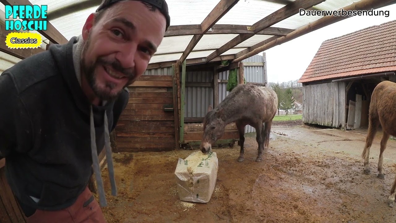 Strohmehl-Einstreu mit ätherischen Ölen im Praxistest: Handhabung, Geruch & Fress-Schutz für Pferde!