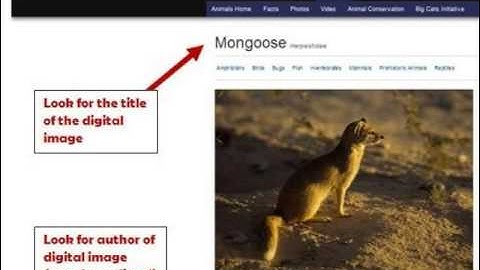 MLA Digital Image Citation Video