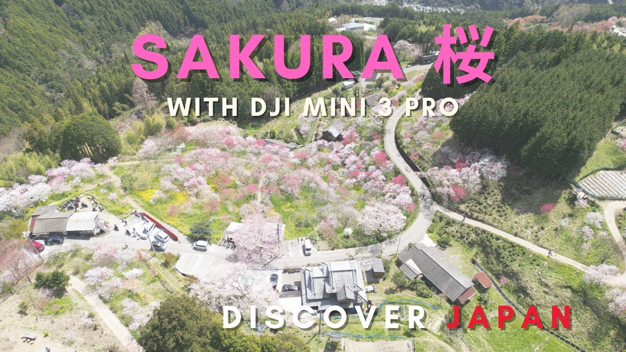 Japan Sakura Aerial Footage - Discover Japan (4K Drone Video) 