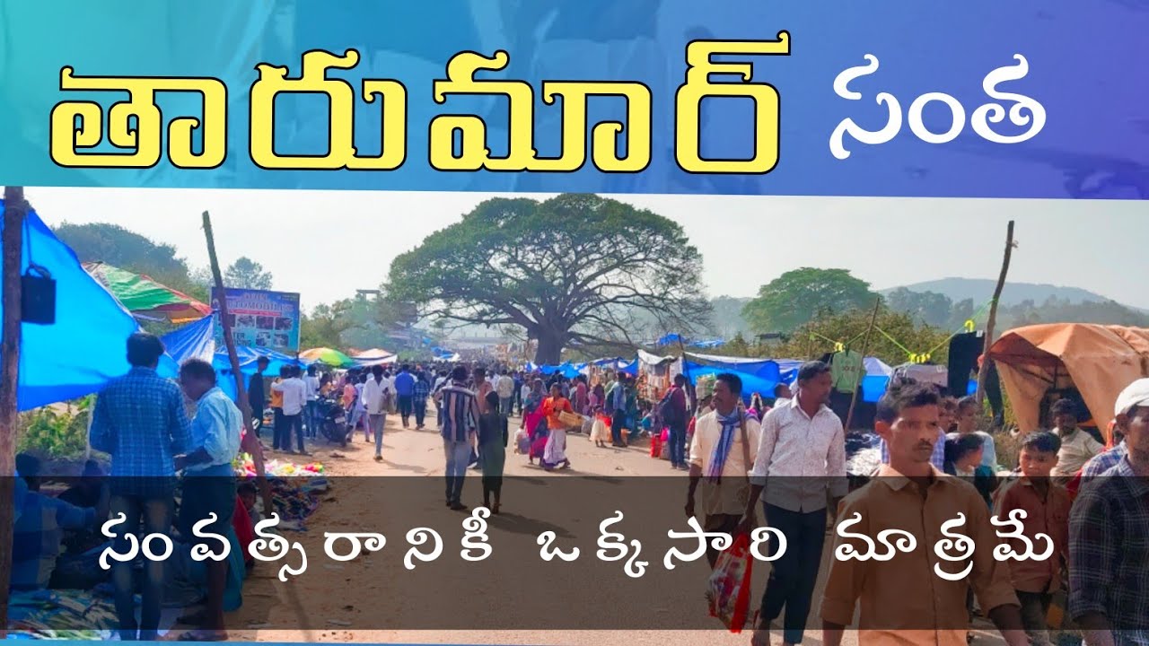 G మాడుగుల తరుమార్ సంత,2024