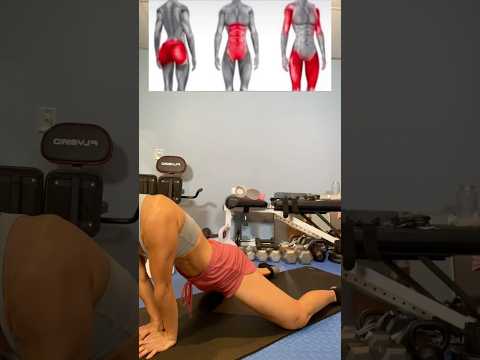 เอวคอด ลดพุงล่าง #Arms #SlimLegs #FirmGlutes #legsworkout #SlimWaist