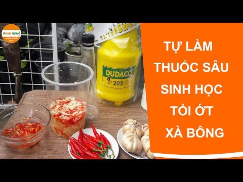Video Nông nghiệp sạch | Tự làm thuốc trừ sâu sinh học từ xà... - youtube