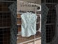 nunocoto fabric 夏の陣。さらりとしたローンでつくるノースリーブブラウス　#shorts