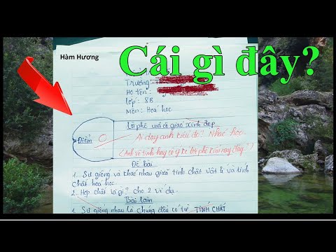 Video Những bài văn, bài kiểm tra cá biệt khác người - youtube
