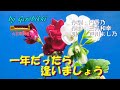 「一年たったら逢いましょう」/戸川よし乃 Japanese Taishogoto 大正琴  /Gerobikki