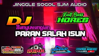 DJ PARAN SALAH ISUN || SOGOL SJM AUDIO