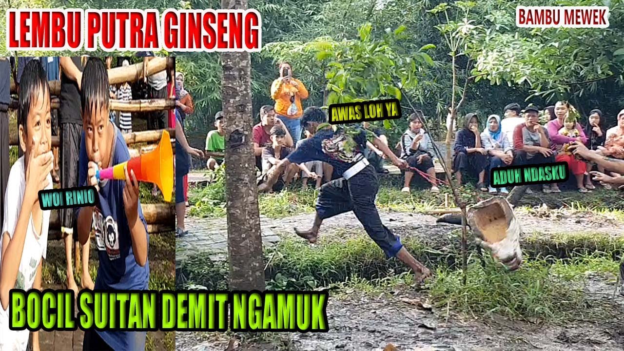 LEMBU PUTRA GINSENG | BOCIL SUITAN DEMIT NGAMUK NGERET NDAS BANTENG | Bantengan Bambu Mewek Live