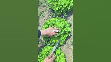 What’s the worst thing you’ve said during a breakup… #storytime