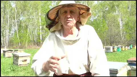 КУКУШКИНЫ СЛЁЗКИ лечим горло