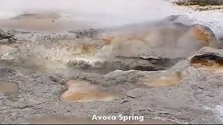 Yellowstone geyser basins: Biscuit Basin #travel #yellowstone #geyser #hotspring