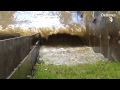 Tests of grass dikes in wave flume