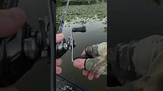 #rapala #bassfishing #shimano