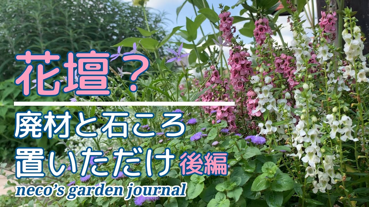 ガーデニングdiy 完成しました 廃材と石ころで造る花壇 後編 夏のお花も元気です Youtube