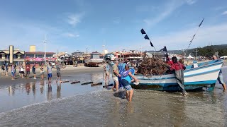 Garopaba, SC, 27-04-24, pescarias e Chalupinha Floki, com redada de cipó. #pescarias #fishing #fish