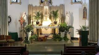 Transmision en vivo 9:30 a.m. X Domingo Ordinario SWD (Una Licencia A-612811)