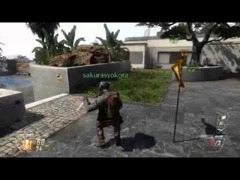 【CoD:BO2】カルピスのRAIDでDOM ごく普通のキル集