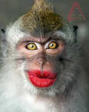 #LaxmmiBomb​​​​​​ #LaxmmiBombMovie​​​​​​ #AkshayKumar​​​​​​ Laxmmi Bomb Full Movie Akshay K, Kiara