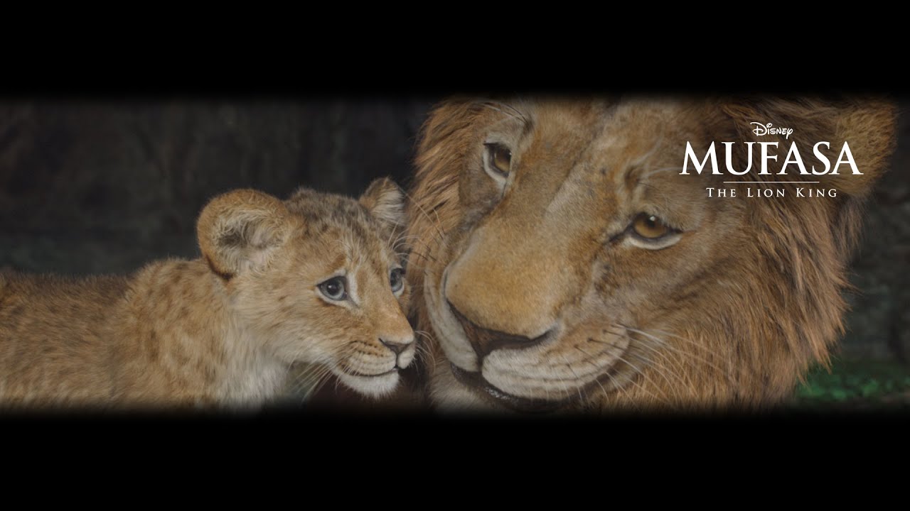 Mufasa: The Lion King | "Roar" | Now Playing - Exploring the unlikely rise of the beloved king of the Pride Lands, “Mufasa: The Lion King” enlists Rafiki to relay the legend of Mufasa to young lion cub Kiara