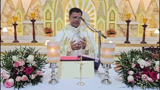 Sunday Holy  Mass  September 14     I  5.30  AM I  Syro  Malabar I Fr Bineesh Augustine  Malayal