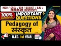 Pedagogy of Sanskrit Most Important Questions | B.Ed. 1st Year | MDU CRSU GJU IGU DCRUST GU