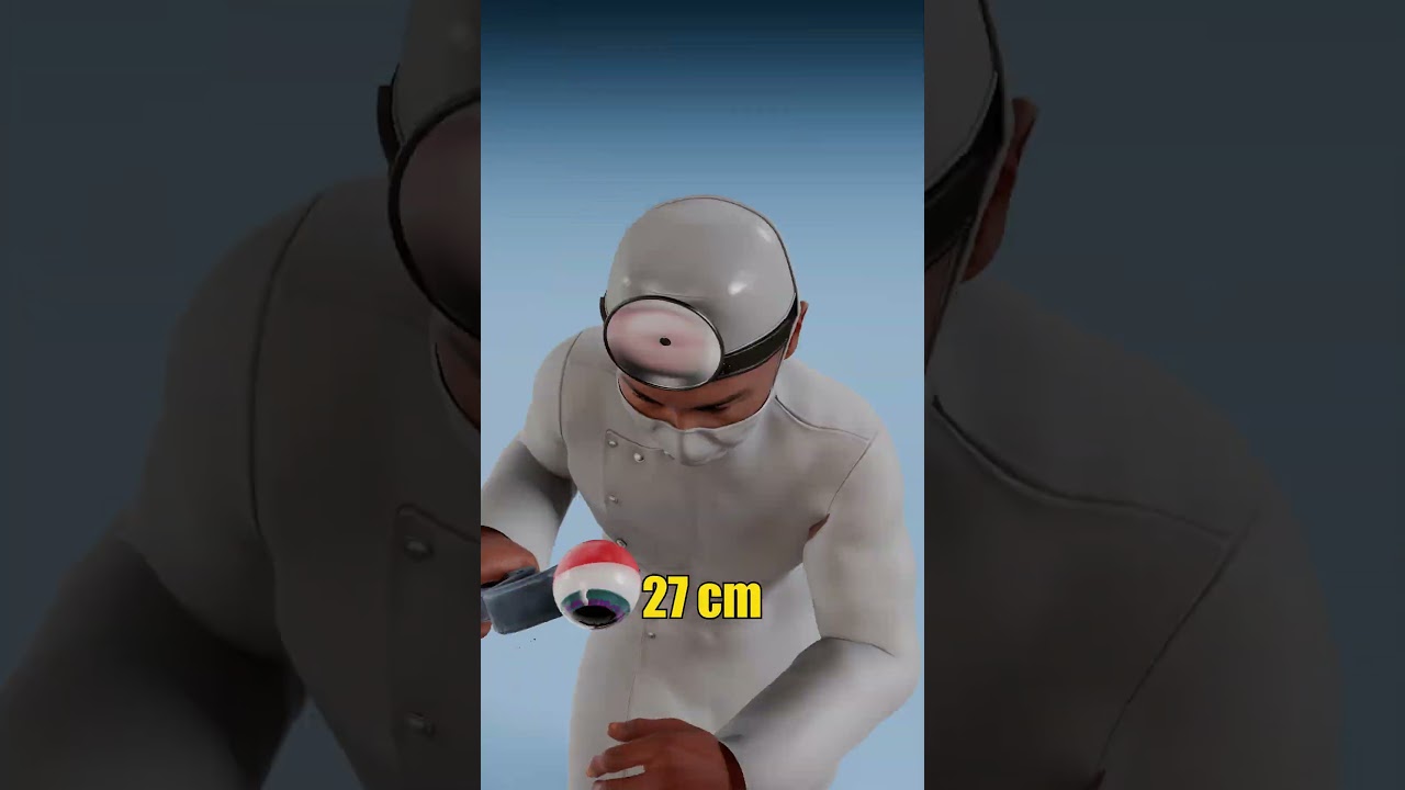 Размер глаза человека против размера глаза кальмара