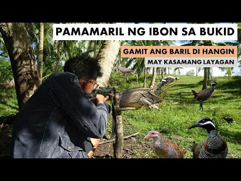 Video: Paano Linisin Ang Isang Rifle Sa Pangangaso
