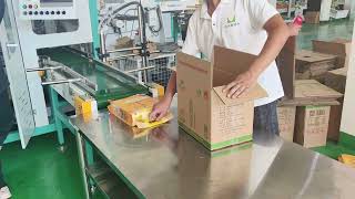Fully automatic vacuum packaging machine and secondary bagging machine