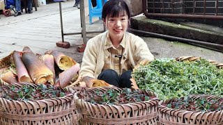 趕集賣100元1公斤的野菜！ 村裡最貴的野菜發芽，大山裡原生態綠色食品品質槓槓的！ 【燕麥行遊】