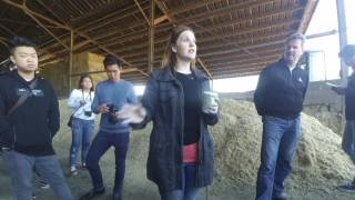 Point reyes employee explaining the feed and cheese making process