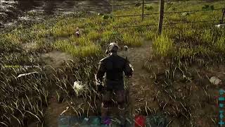 Exploring ARK Day #2