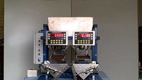 Proweight Stainless Steel Twin Head Batch Weigher