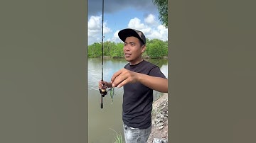 Mồi câu cá chẽm,chét,măng…megabarra dom 75 #chitoanfishing #fishing #caucagiaitri #cauca #shorts