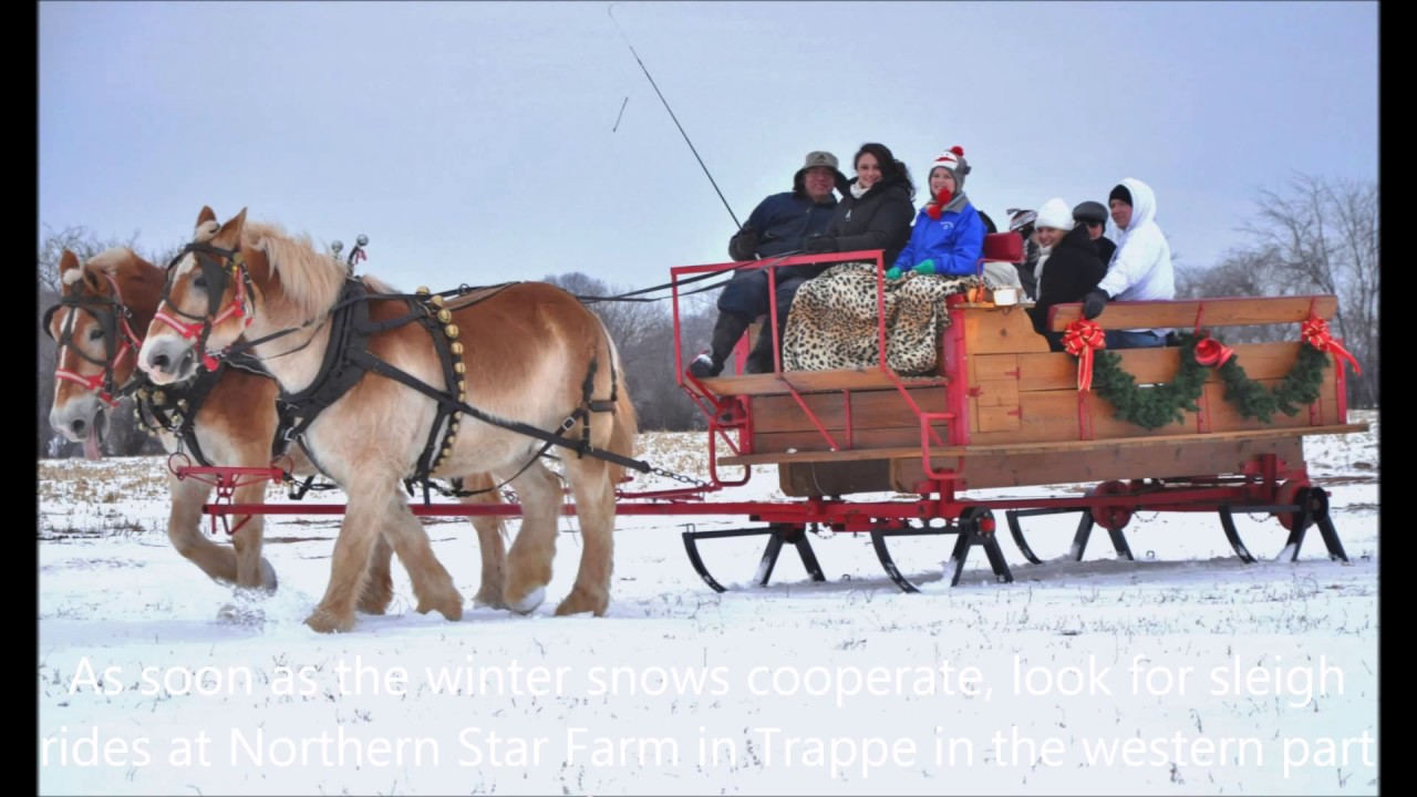 Christmas Songs, Horses & Sleighs YouTube