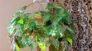 3 Идеи из пластиковых бутылок / I'm shocked! 3 ideas with plastic bottles 3 Идеи из пластиковых бутылок / I'm shocked! 3 ideas with plastic bottles