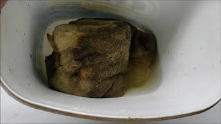 No Nitrates In Dirty Filter Water