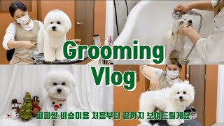 The dog that came to the salon to sleep? Correct! Eggplant🍆 / Pet Beauty / Cheonan Pet Beauty