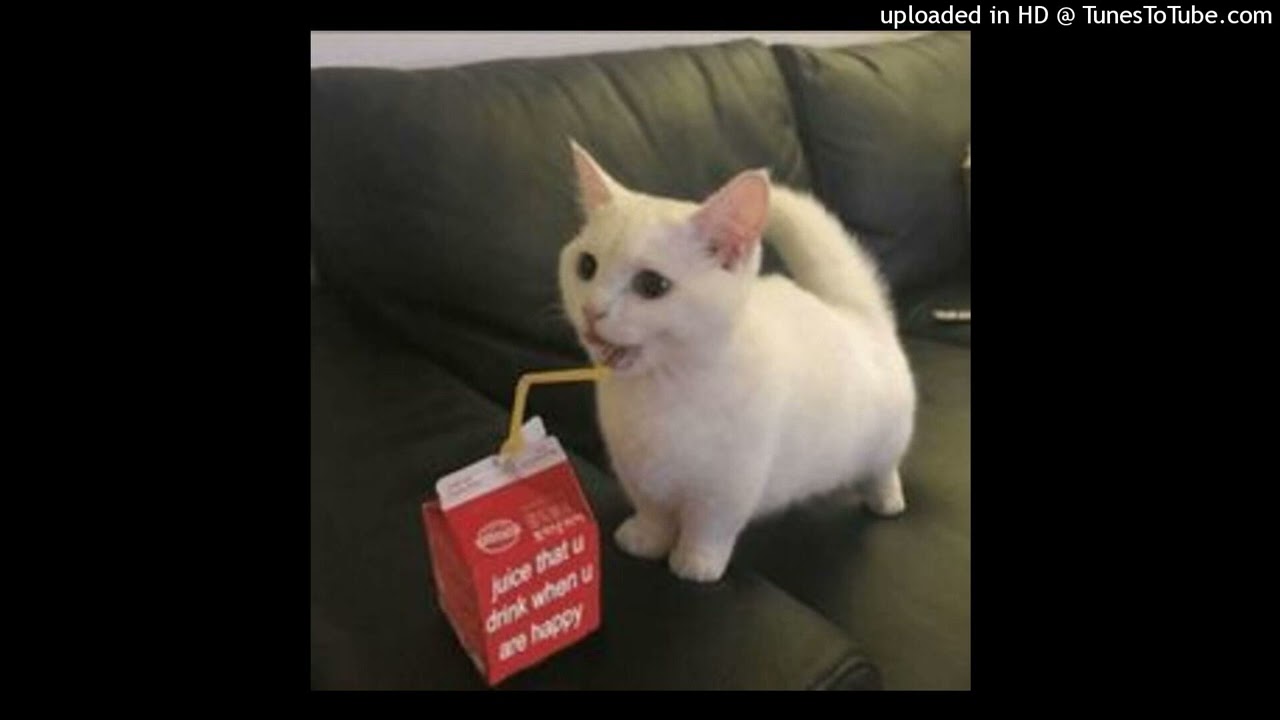 plugg type beat w/ maxii