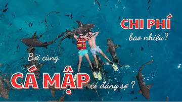 Bơi cùng CÁ MẬP ở Maldives có đáng sợ ? Chi phí bao nhiêu ? | Vlog 2