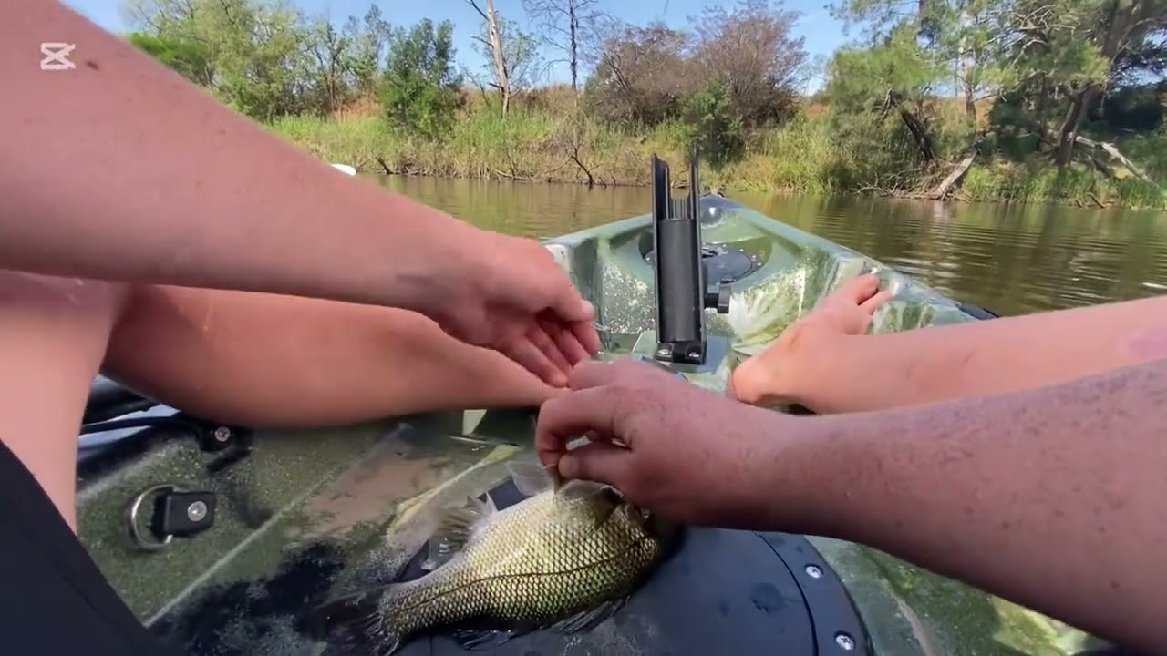 Top Water Bass Fishing! Featuring @BulgaBoys_OutDoors