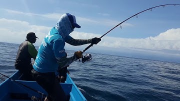 GT FISHING AT KAIMANA, WEST PAPUA PROVINCE OF INDONESIA