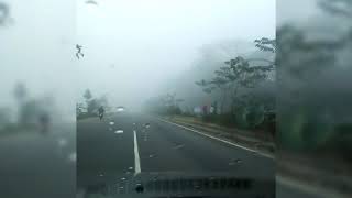 কুয়াশা ভরা ঢাকা-চট্টগ্রাম মহাসড়ক এ || কুয়াশার কারনে কিছুই দেখা যাচ্ছে না || #BD_Road_lovers screenshot 5