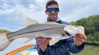 Mi Mejor Pesca de Robalos en el Manglar