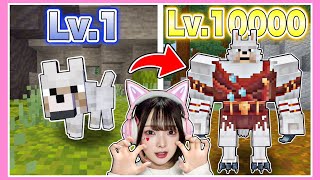 『オオカミとして生きる』マインクラフトで最強になりすぎた🐺🔥www【マイクラ / マインクラフト / Minecraft】【たまちゃん】