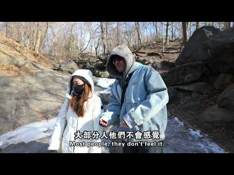 Why does nature bring you peace? [Master Sri Akarshana & Zheng Miya]
