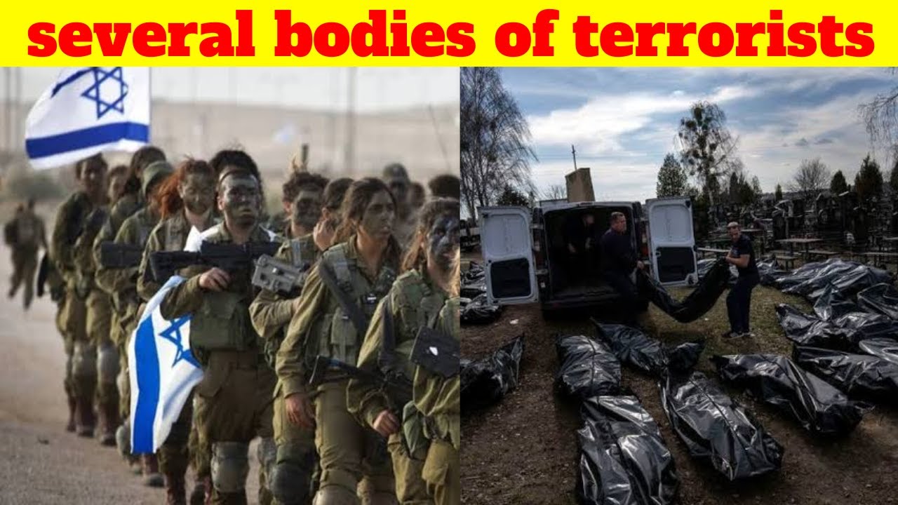 See how many Hamas terrorists have been killed