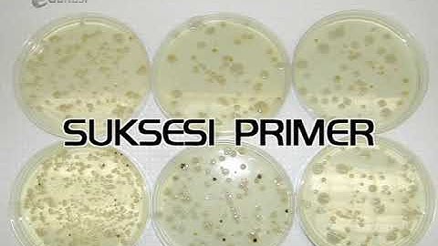 Ekosistem seg3 [Ayo Belajar Biologi] | Video Learning Object