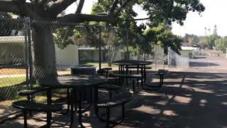 K-5 Playground & Recess Protocol