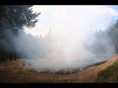 ODF Controlled Burn camera iphone 8 plus apk