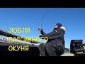 ПОВОДКОВЫЕ ОСНАСТКИ ДЛЯ ЛЕНИВЫХ. Тест нового спиннинга Viva Microfish.